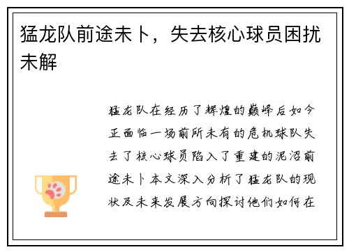 猛龙队前途未卜，失去核心球员困扰未解